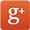 google plus icon